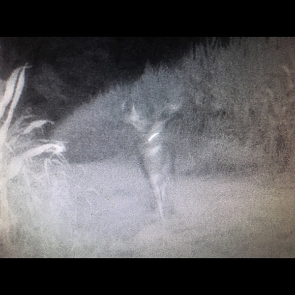 Meet your Posher, Aidan - Picture 1 of 1